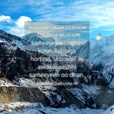 Picture 04 - Boqorradii Labaad 23:37 SOM - Oo isna wuxuu sameeyey wax shar ku ah Rabbiga - Bible Verse Picture
