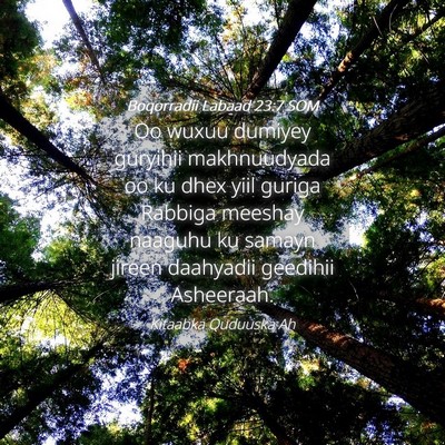 Picture 04 - Boqorradii Labaad 23:7 SOM - Oo wuxuu dumiyey guryihii makhnuudyada oo ku dhex - Bible Verse Picture