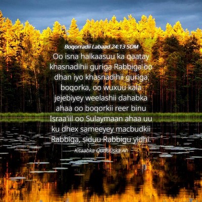 Picture 04 - Boqorradii Labaad 24:13 SOM - Oo isna halkaasuu ka qaatay khasnadihii guriga - Bible Verse Picture