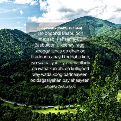 Picture 04 - Boqorradii Labaad 24:16 SOM - Oo boqorkii Baabuloon maxaabiis ahaan ayuu - Bible Verse Picture