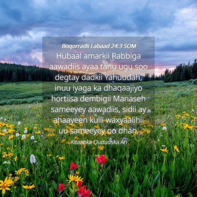 Picture 04 - Boqorradii Labaad 24:3 SOM - Hubaal amarkii Rabbiga aawadiis ayaa tanu ugu soo - Bible Verse Picture