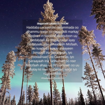 Picture 04 - Boqorradii Labaad 25:23 SOM - Haddaba saraakiishii ciidammada oo dhammu iyaga - Bible Verse Picture