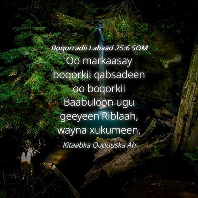 Picture 04 - Boqorradii Labaad 25:6 SOM - Oo markaasay boqorkii qabsadeen oo boqorkii - Bible Verse Picture