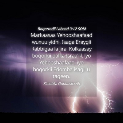 Picture 04 - Boqorradii Labaad 3:12 SOM - Markaasaa Yehooshaafaad wuxuu yidhi, Isaga - Bible Verse Picture
