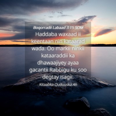 Picture 04 - Boqorradii Labaad 3:15 SOM - Haddaba waxaad ii keentaan nin kataarad wada. Oo - Bible Verse Picture