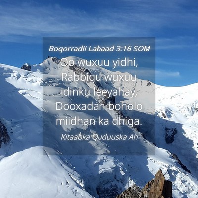Picture 04 - Boqorradii Labaad 3:16 SOM - Oo wuxuu yidhi, Rabbigu wuxuu idinku leeyahay, - Bible Verse Picture