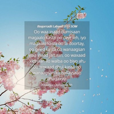 Picture 04 - Boqorradii Labaad 3:19 SOM - Oo waa inaad dumisaan magaalo kasta oo deyr leh, - Bible Verse Picture