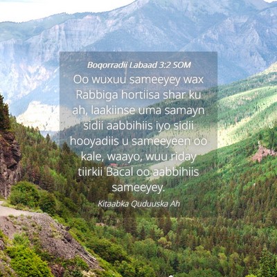 Picture 04 - Boqorradii Labaad 3:2 SOM - Oo wuxuu sameeyey wax Rabbiga hortiisa shar ku - Bible Verse Picture