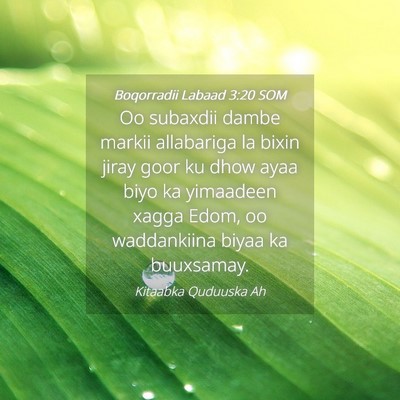 Picture 04 - Boqorradii Labaad 3:20 SOM - Oo subaxdii dambe markii allabariga la bixin - Bible Verse Picture