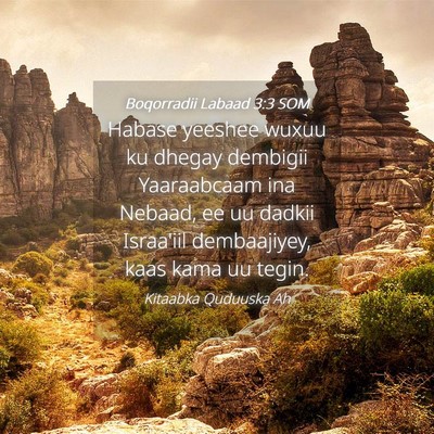 Picture 04 - Boqorradii Labaad 3:3 SOM - Habase yeeshee wuxuu ku dhegay dembigii - Bible Verse Picture