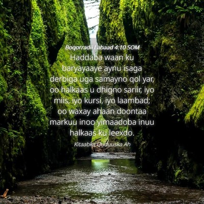 Picture 04 - Boqorradii Labaad 4:10 SOM - Haddaba waan ku baryayaaye aynu isaga derbiga uga - Bible Verse Picture