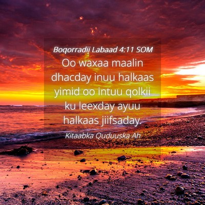 Picture 04 - Boqorradii Labaad 4:11 SOM - Oo waxaa maalin dhacday inuu halkaas yimid oo - Bible Verse Picture