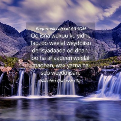 Picture 04 - Boqorradii Labaad 4:3 SOM - Oo isna wuxuu ku yidhi, Tag, oo weelal weyddiiso - Bible Verse Picture