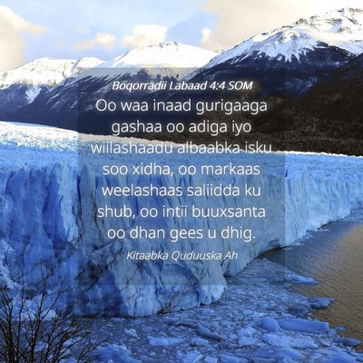 Picture 04 - Boqorradii Labaad 4:4 SOM - Oo waa inaad gurigaaga gashaa oo adiga iyo - Bible Verse Picture