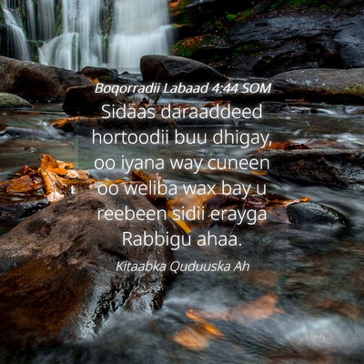 Picture 04 - Boqorradii Labaad 4:44 SOM - Sidaas daraaddeed hortoodii buu dhigay, oo iyana - Bible Verse Picture