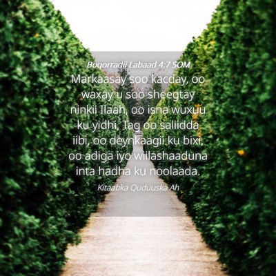 Picture 04 - Boqorradii Labaad 4:7 SOM - Markaasay soo kacday, oo waxay u soo sheegtay - Bible Verse Picture