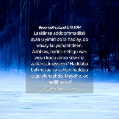Picture 04 - Boqorradii Labaad 5:13 SOM - Laakiinse addoommadiisii ayaa u yimid oo la - Bible Verse Picture
