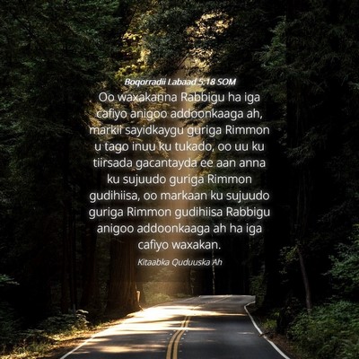 Picture 04 - Boqorradii Labaad 5:18 SOM - Oo waxakanna Rabbigu ha iga cafiyo anigoo - Bible Verse Picture