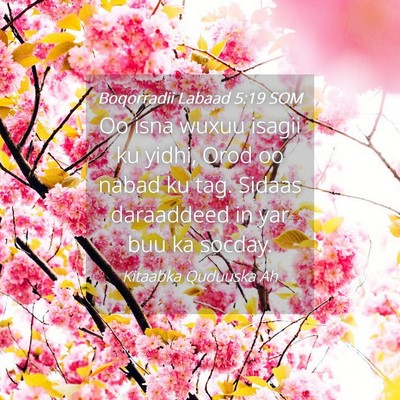 Picture 04 - Boqorradii Labaad 5:19 SOM - Oo isna wuxuu isagii ku yidhi, Orod oo nabad ku - Bible Verse Picture