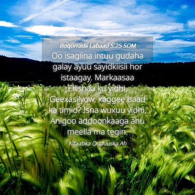 Picture 04 - Boqorradii Labaad 5:25 SOM - Oo isagiina intuu gudaha galay ayuu sayidkiisii - Bible Verse Picture