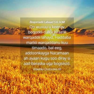 Picture 04 - Boqorradii Labaad 5:6 SOM - Oo wuxuu u keenay boqorkii dalka Israa'iil - Bible Verse Picture
