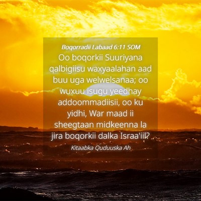 Picture 04 - Boqorradii Labaad 6:11 SOM - Oo boqorkii Suuriyana qalbigiisu waxyaalahan aad - Bible Verse Picture