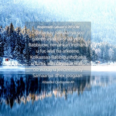 Picture 04 - Boqorradii Labaad 6:20 SOM - Oo markay Samaariya soo galeen ayaa Eliishaa - Bible Verse Picture