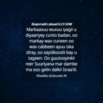 Picture 04 - Boqorradii Labaad 6:23 SOM - Markaasuu wuxuu iyagii u diyaariyey cunto badan, - Bible Verse Picture