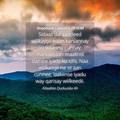 Picture 04 - Boqorradii Labaad 6:29 SOM - Sidaas daraaddeed wiilkaygii waan karsannay oo - Bible Verse Picture