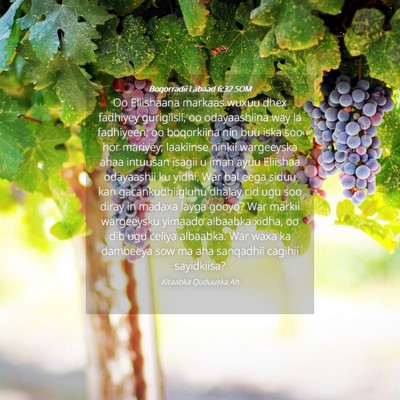 Picture 04 - Boqorradii Labaad 6:32 SOM - Oo Eliishaana markaas wuxuu dhex fadhiyey - Bible Verse Picture