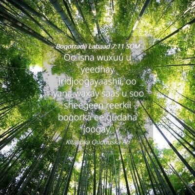 Picture 04 - Boqorradii Labaad 7:11 SOM - Oo isna wuxuu u yeedhay iridjoogayaashii, oo - Bible Verse Picture