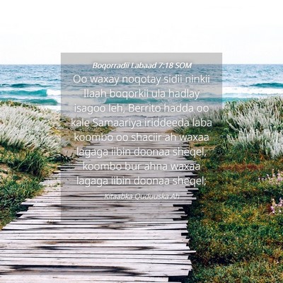 Picture 04 - Boqorradii Labaad 7:18 SOM - Oo waxay noqotay sidii ninkii Ilaah boqorkii ula - Bible Verse Picture