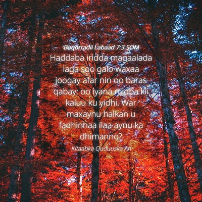 Picture 04 - Boqorradii Labaad 7:3 SOM - Haddaba iridda magaalada laga soo galo waxaa - Bible Verse Picture