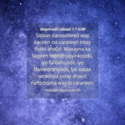Picture 04 - Boqorradii Labaad 7:7 SOM - Sidaas daraaddeed way kaceen oo carareen intay - Bible Verse Picture