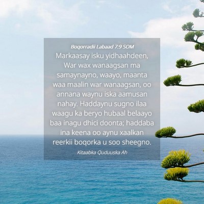 Picture 04 - Boqorradii Labaad 7:9 SOM - Markaasay isku yidhaahdeen, War wax wanaagsan ma - Bible Verse Picture
