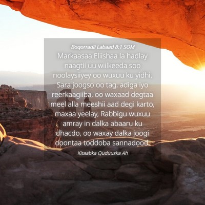 Picture 04 - Boqorradii Labaad 8:1 SOM - Markaasaa Eliishaa la hadlay naagtii uu wiilkeeda - Bible Verse Picture