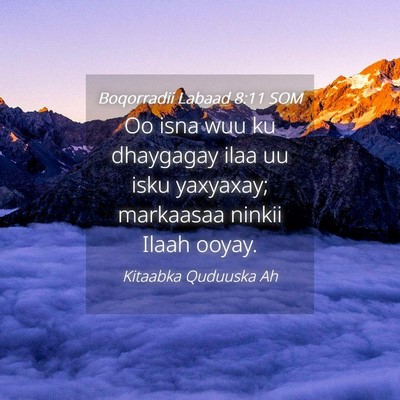 Picture 04 - Boqorradii Labaad 8:11 SOM - Oo isna wuu ku dhaygagay ilaa uu isku yaxyaxay; - Bible Verse Picture