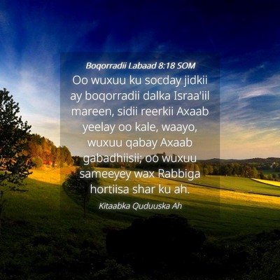 Picture 04 - Boqorradii Labaad 8:18 SOM - Oo wuxuu ku socday jidkii ay boqorradii dalka - Bible Verse Picture