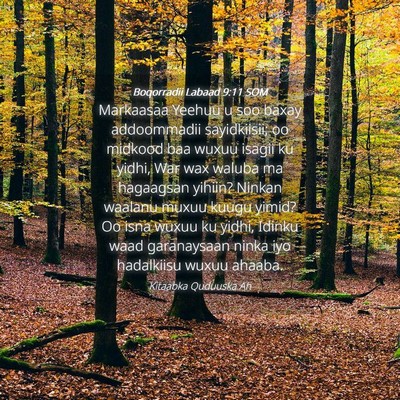 Picture 04 - Boqorradii Labaad 9:11 SOM - Markaasaa Yeehuu u soo baxay addoommadii - Bible Verse Picture