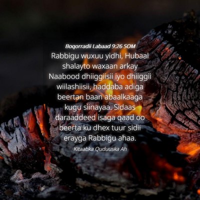 Picture 04 - Boqorradii Labaad 9:26 SOM - Rabbigu wuxuu yidhi, Hubaal shalayto waxaan arkay - Bible Verse Picture