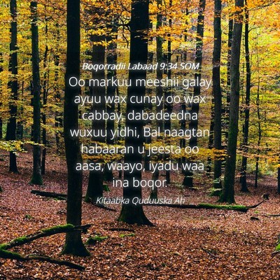 Picture 04 - Boqorradii Labaad 9:34 SOM - Oo markuu meeshii galay ayuu wax cunay oo wax - Bible Verse Picture