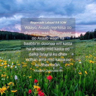 Picture 04 - Boqorradii Labaad 9:8 SOM - Waayo, Axaab reerkiisa oo dhammu waa halligmayaa; - Bible Verse Picture