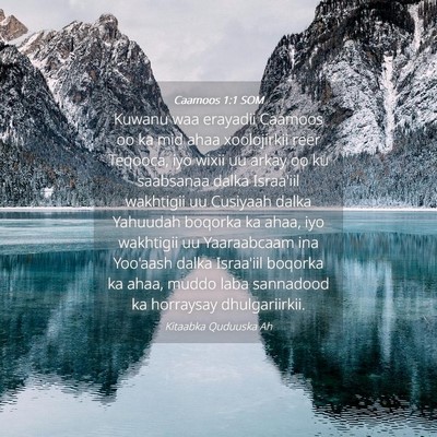 Picture 04 - Caamoos 1:1 SOM - Kuwanu waa erayadii Caamoos oo ka mid ahaa - Bible Verse Picture