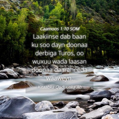 Picture 04 - Caamoos 1:10 SOM - Laakiinse dab baan ku soo dayn doonaa derbiga - Bible Verse Picture