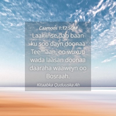 Picture 04 - Caamoos 1:12 SOM - Laakiinse dab baan ku soo dayn doonaa Teemaan, oo - Bible Verse Picture