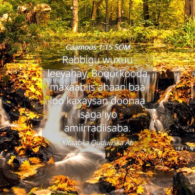 Picture 04 - Caamoos 1:15 SOM - Rabbigu wuxuu leeyahay, Boqorkooda maxaabiis - Bible Verse Picture