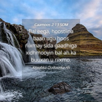 Picture 04 - Caamoos 2:13 SOM - Bal eega, hoostiina baan ugu hoos riixmay sida - Bible Verse Picture