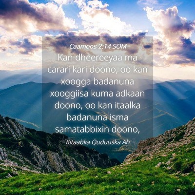 Picture 04 - Caamoos 2:14 SOM - Kan dheereeyaa ma carari kari doono, oo kan - Bible Verse Picture