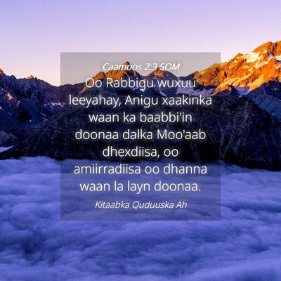 Picture 04 - Caamoos 2:3 SOM - Oo Rabbigu wuxuu leeyahay, Anigu xaakinka waan ka - Bible Verse Picture