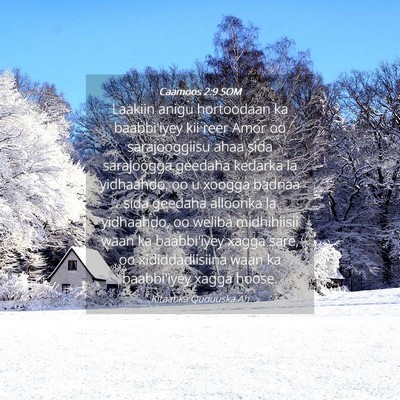 Picture 04 - Caamoos 2:9 SOM - Laakiin anigu hortoodaan ka baabbi'iyey kii reer - Bible Verse Picture